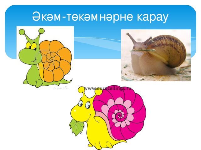 НОД по лепке "Улитка"