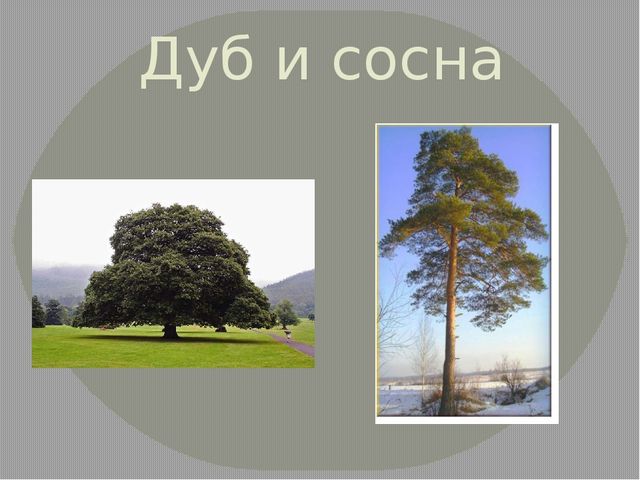 Презентация на тему "Удивительное рядом"