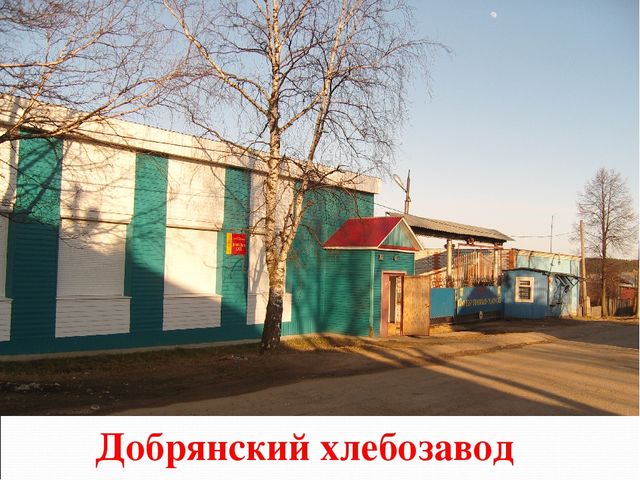 Презентация на тему "Как колосок хлебом на стол пришёл"