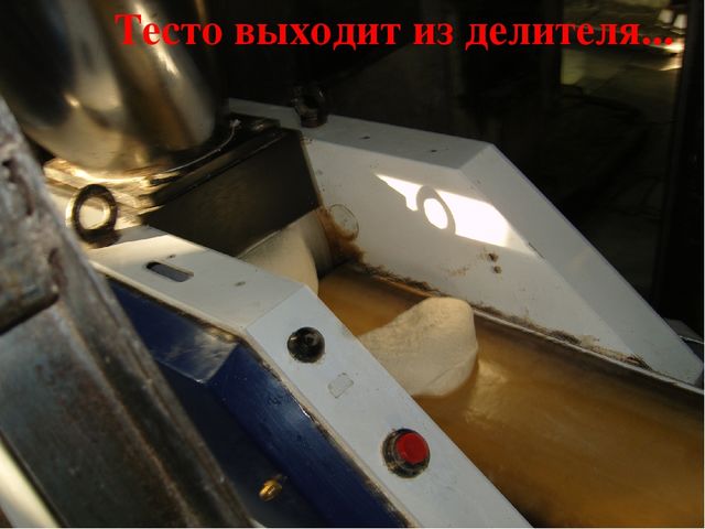 Презентация на тему "Как колосок хлебом на стол пришёл"