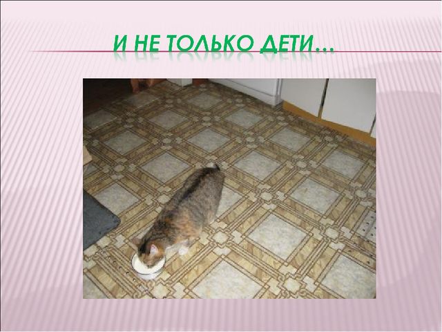 Презентация "Откуда берут начало молочные реки?"