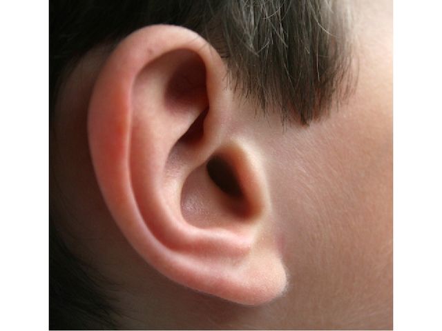 Звуковая культура речи звук «у»