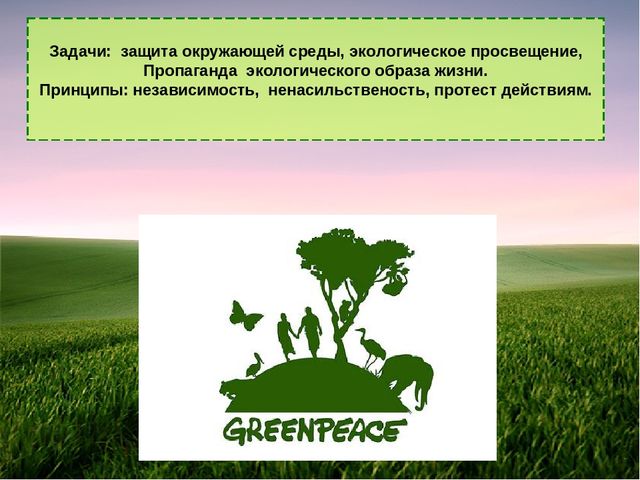 Презентация на тему: "Международная организация глазами ребенка"