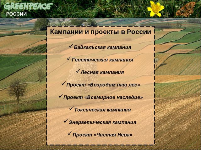 Презентация на тему: "Международная организация глазами ребенка"