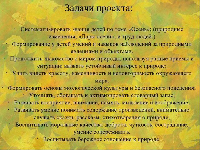 Презентация Проект "Осенняя ярмарка"