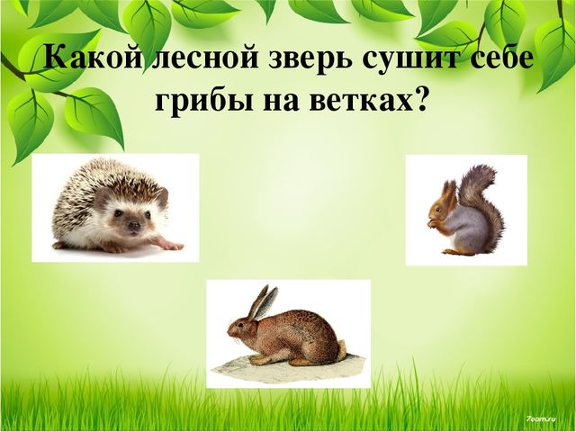 Презентация занятия для будущих первоклассников