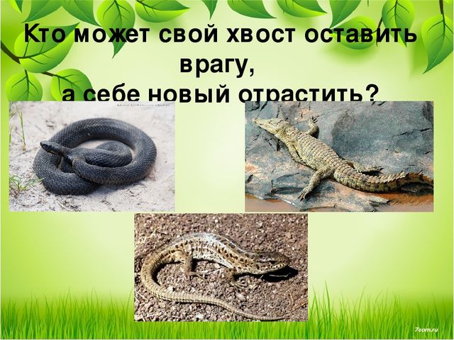 Презентация занятия для будущих первоклассников