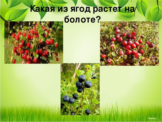 Презентация занятия для будущих первоклассников