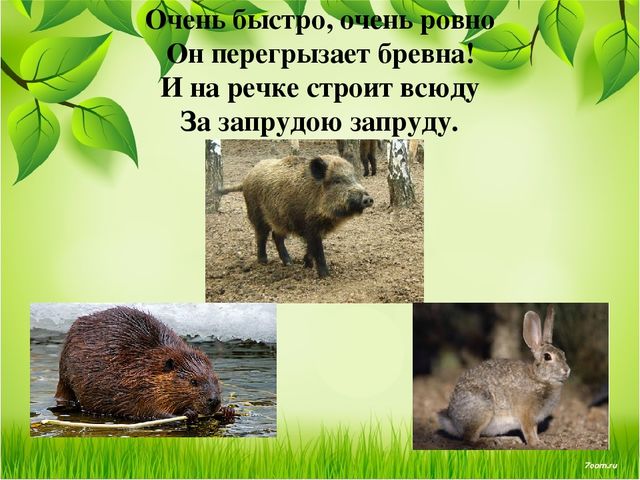 Презентация занятия для будущих первоклассников