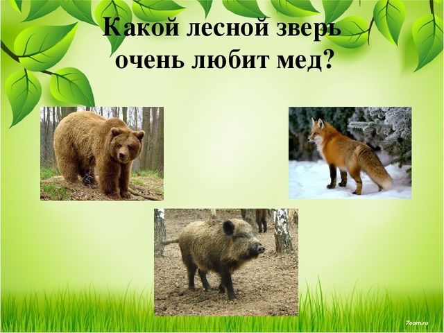 Презентация занятия для будущих первоклассников