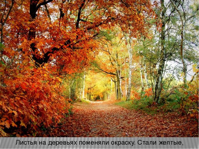 Презентация по ознакомлению с окружающим миром на тему: «Осень в гости к нам пришла». Для детей младшего школьного возраста с тяжелыми множественными нарушениями развития.