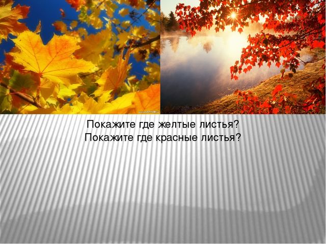Презентация по ознакомлению с окружающим миром на тему: «Осень в гости к нам пришла». Для детей младшего школьного возраста с тяжелыми множественными нарушениями развития.
