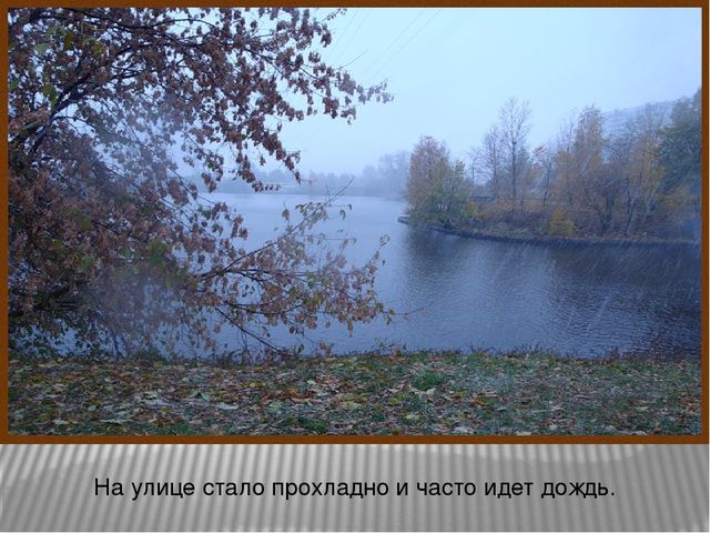 Презентация по ознакомлению с окружающим миром на тему: «Осень в гости к нам пришла». Для детей младшего школьного возраста с тяжелыми множественными нарушениями развития.