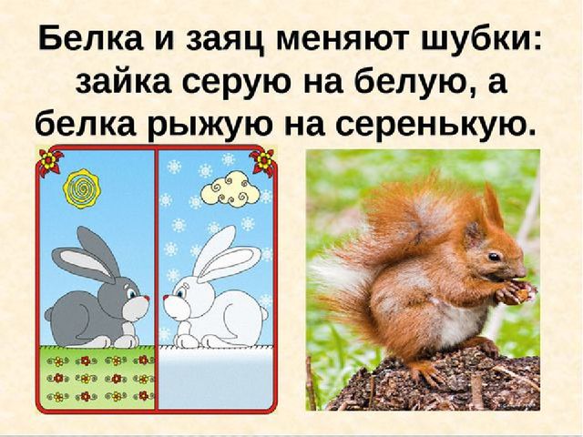 Презентация по ознакомлению с окружающим миром на тему: «Осень в гости к нам пришла». Для детей младшего школьного возраста с тяжелыми множественными нарушениями развития.