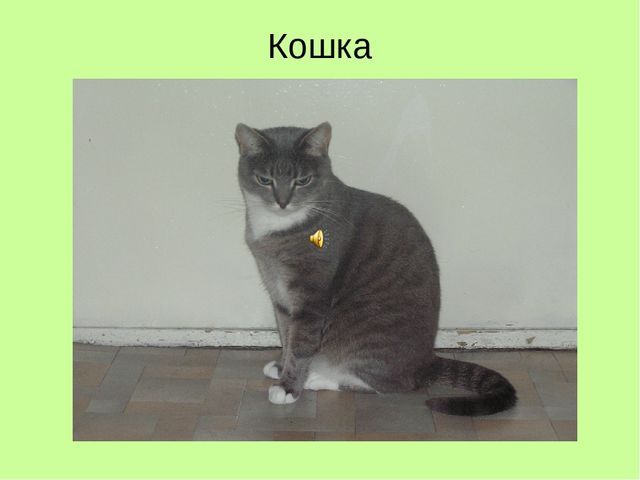 Презентация по ознакомлению с окружающим "Кто как кричит?"
