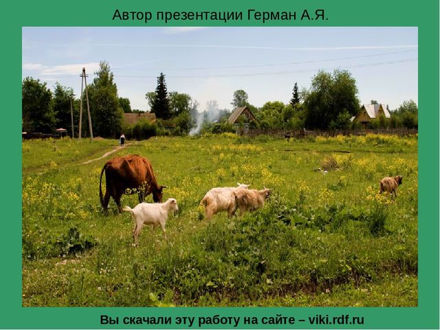 Презентация по ознакомлению с окружающим "Кто как кричит?"
