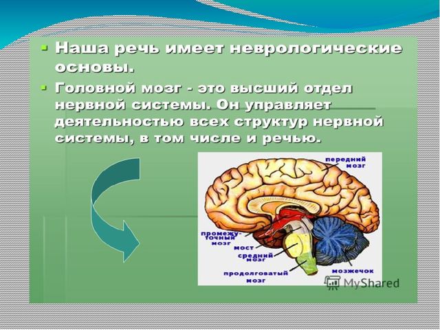 "Пальчиковые игры в моей практике"