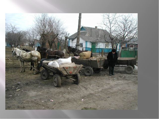 Презентация по теме «Домашние животные»