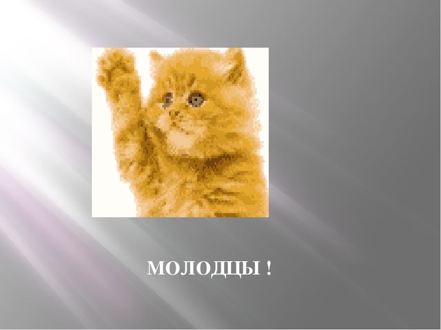 Презентация по теме «Домашние животные»