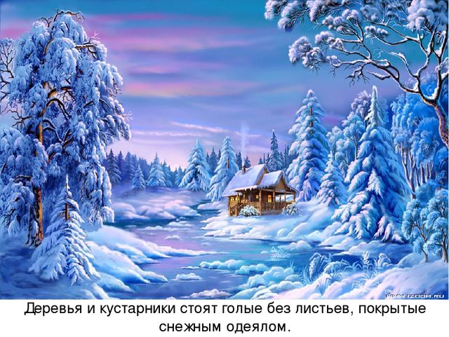 Презентация по ознакомлению с окружающим миром на тему: «Зимушка-зима». Для детей младшего и среднего школьного возраста с тяжелыми множественными нарушениями развития.