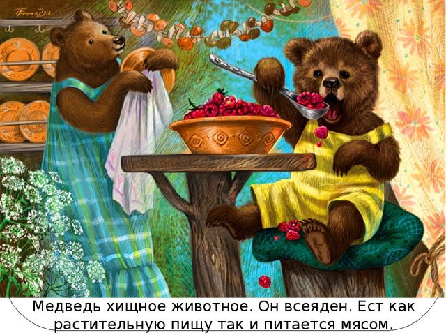 Презентация по ознакомлению с окружающим миром на тему: «Мишка косолапый». Для детей младшего и среднего школьного возраста с тяжелыми множественными нарушениями развития.