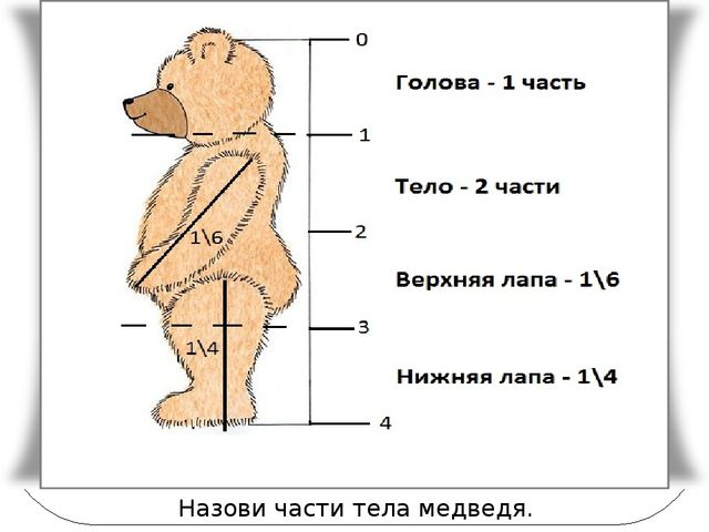 Полуобъемное изображение на плоскости мишка