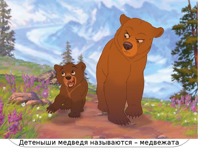 Презентация по ознакомлению с окружающим миром на тему: «Мишка косолапый». Для детей младшего и среднего школьного возраста с тяжелыми множественными нарушениями развития.