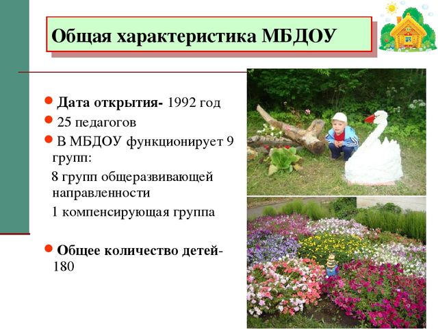 Презентация "Внедрение проектного метода в ДОУ"