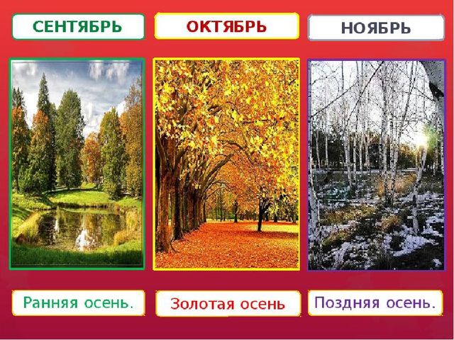 " В гости к лесным жителям"