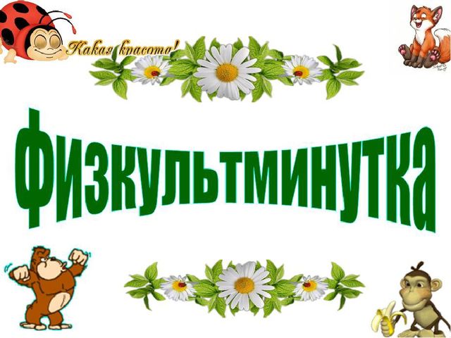 " В гости к лесным жителям"