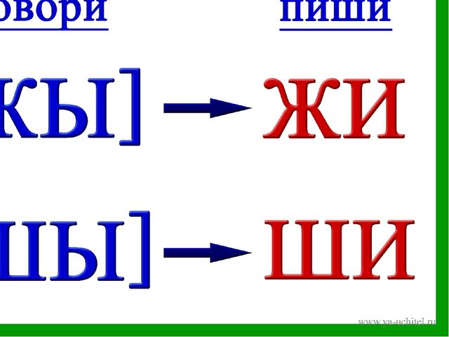 Презентация "Звук и буква Ж,ж"