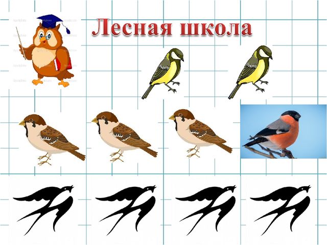 Презентация занятия с дошколятами