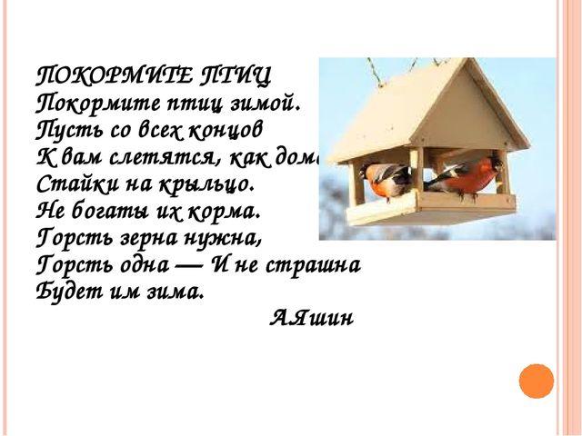 Презентация по ознакомлению с окружающим миром "Зимующие птицы"