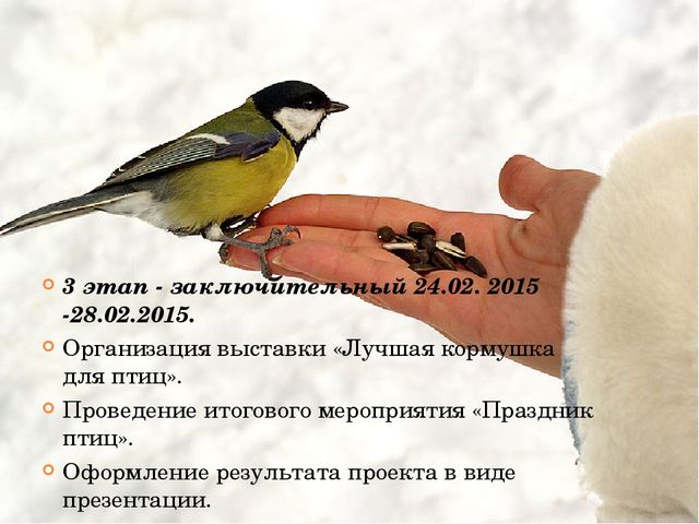 Презентация по ознакомлению с окружающим миром "Зимующие птицы"