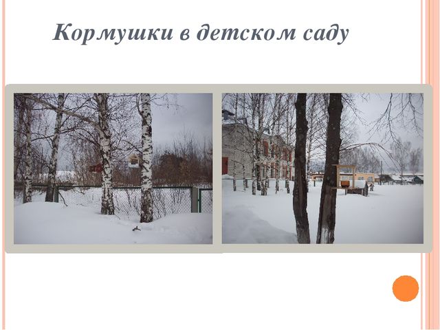Презентация по ознакомлению с окружающим миром "Зимующие птицы"