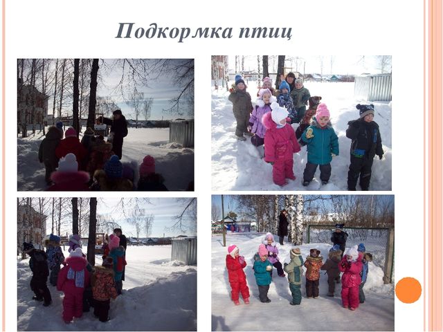Презентация по ознакомлению с окружающим миром "Зимующие птицы"