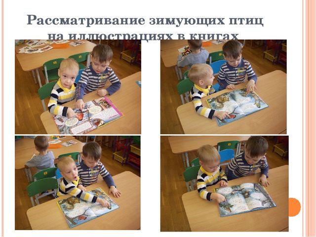 Презентация по ознакомлению с окружающим миром "Зимующие птицы"