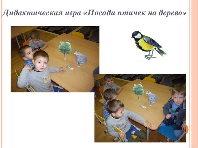 Презентация по ознакомлению с окружающим миром "Зимующие птицы"