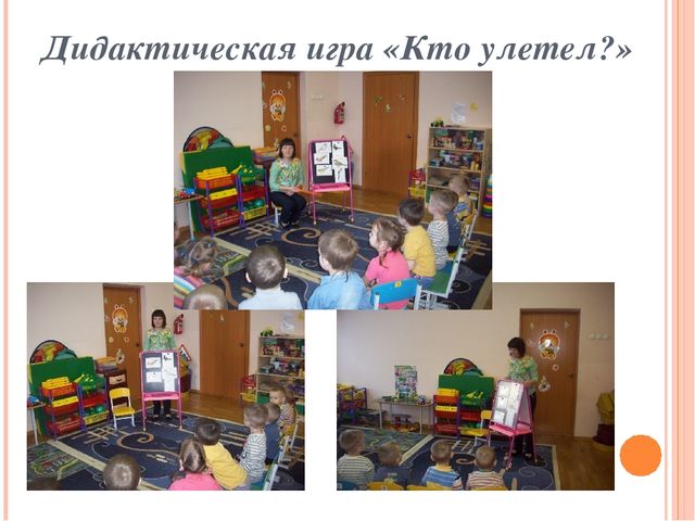 Презентация по ознакомлению с окружающим миром "Зимующие птицы"