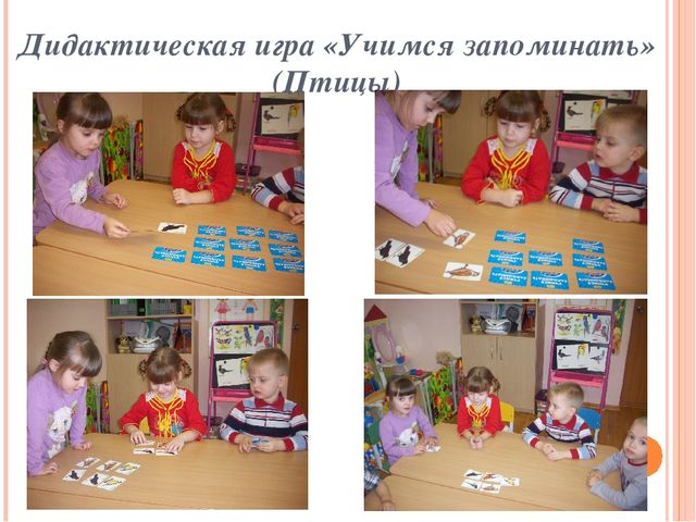 Презентация по ознакомлению с окружающим миром "Зимующие птицы"