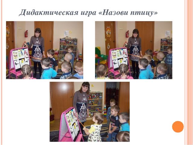 Презентация по ознакомлению с окружающим миром "Зимующие птицы"