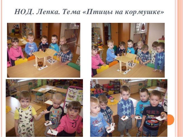 Презентация по ознакомлению с окружающим миром "Зимующие птицы"