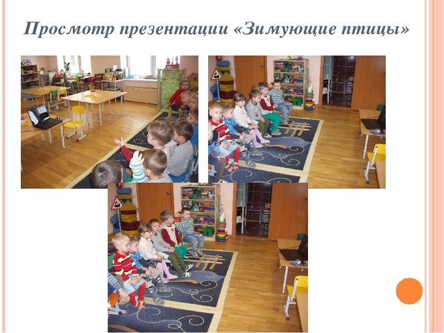 Презентация по ознакомлению с окружающим миром "Зимующие птицы"