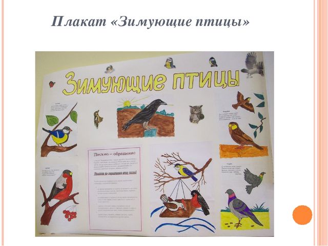 Презентация по ознакомлению с окружающим миром "Зимующие птицы"