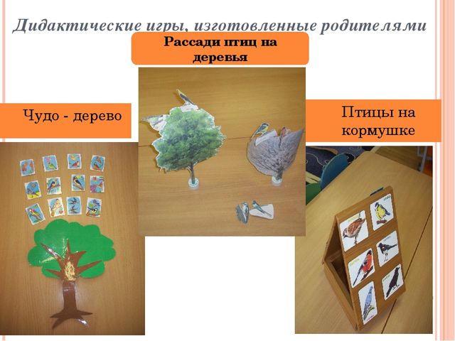 Презентация по ознакомлению с окружающим миром "Зимующие птицы"