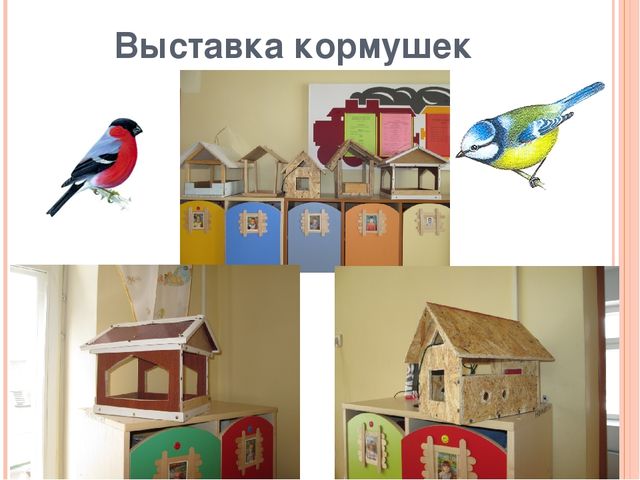 Презентация по ознакомлению с окружающим миром "Зимующие птицы"