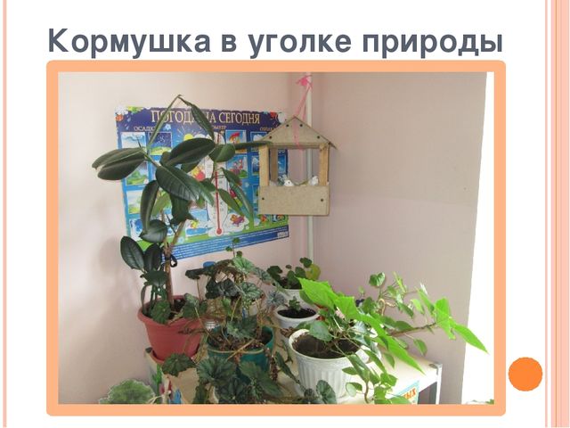 Презентация по ознакомлению с окружающим миром "Зимующие птицы"