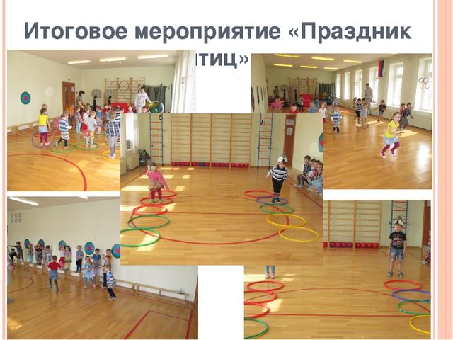 Презентация по ознакомлению с окружающим миром "Зимующие птицы"