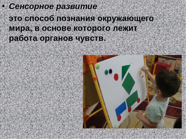 Презентация на тему "Сенсорное развитие"