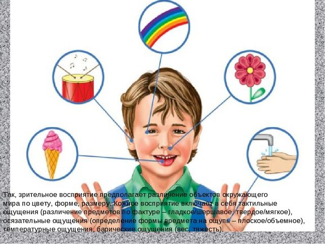 Презентация на тему "Сенсорное развитие"